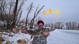 Открыли сезон зимней рыбалки, Первый лёд 2021-22, Подводная съемка