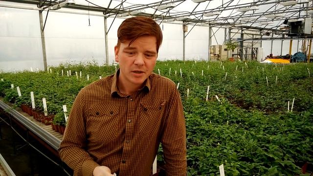 Спаржа и не только @ Михаил Плотников, РГАУ, 2017 смотреть онлайн