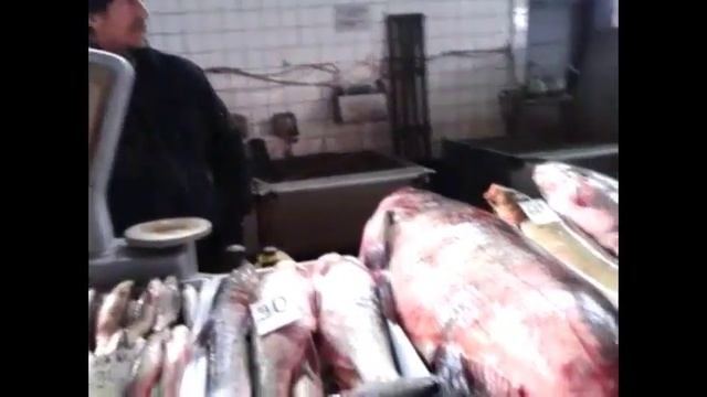 ТОЛСТОЛОБИК ГИГАНТ !!! смотреть онлайн