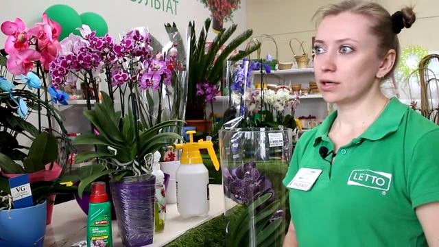 От А до Я об орхидеях смотреть онлайн