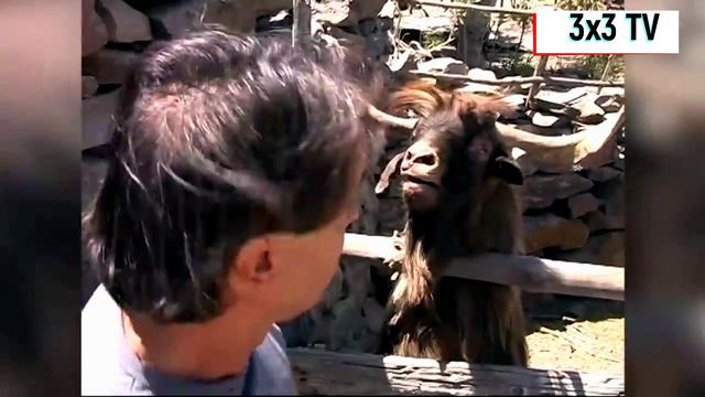 Лучшая подборка приколов от 3х3 смотреть онлайн