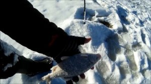 Клязьма  Рыбалка на вертолет