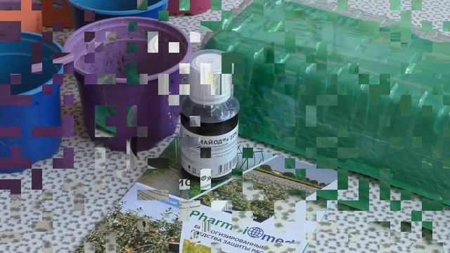 Обеззараживаем горшочки для рассады смотреть онлайн