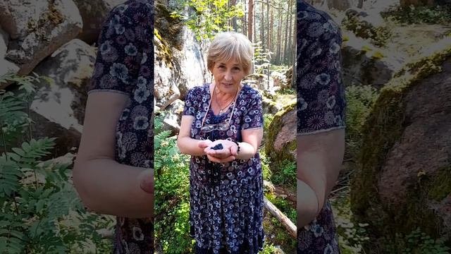 Каменная речка в Карелии