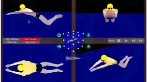 Стили плавания в 3d