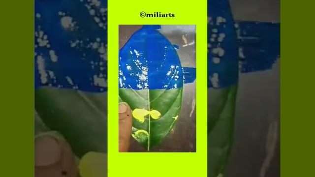 ?? flag painting on green leaf||#trending #satisfying