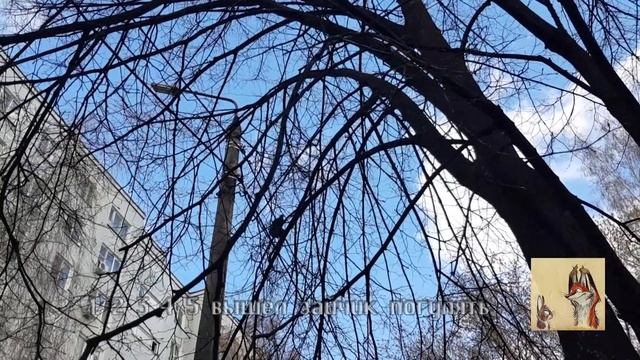 Подбитая ворона Вороны защитники смотреть онлайн