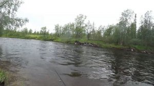 Ловля диких форели, кумжи и хариуса на реках севера Кольского полуострова. Крайние 3 дня путешестви