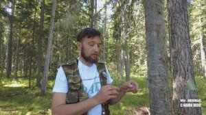 Первая помощь в лесу и Тайге. Лечение ожогов. Рецепты для здоровья.  Пихтовая Живица Каменное масл