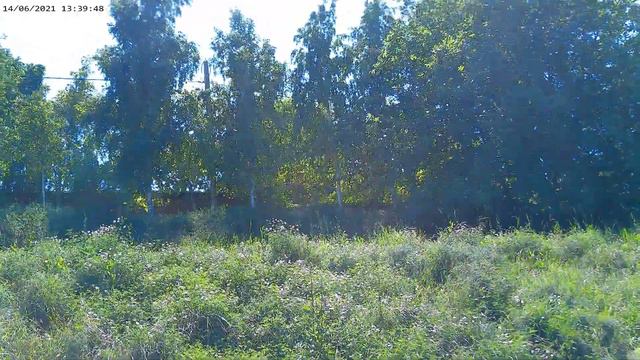 г. Ейск, спуск к морю у гостиницы Висты. смотреть онлайн