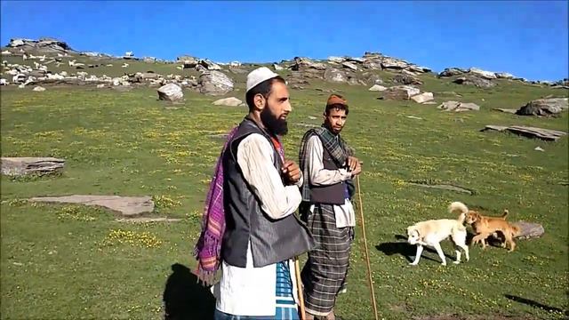 Fight at Chanshal among Local Shepherd & Gujar смотреть онлайн