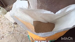 Куры едят свои яйца, что делать? почему нет яйца от курей?
