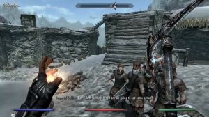 Skyrim mods get weird