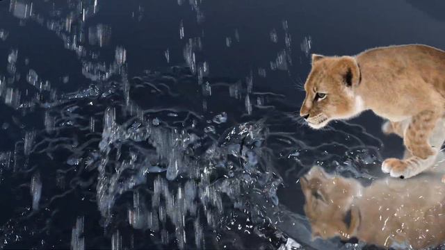 PROmax3D Stock Models for Download | Trailer 2021