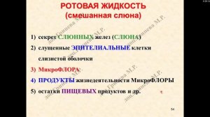 Гистология. Ротовая полость (Часть 2. Язык)