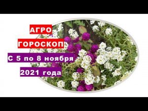 Агрогороскоп с 05 по 08 ноября 2021 года