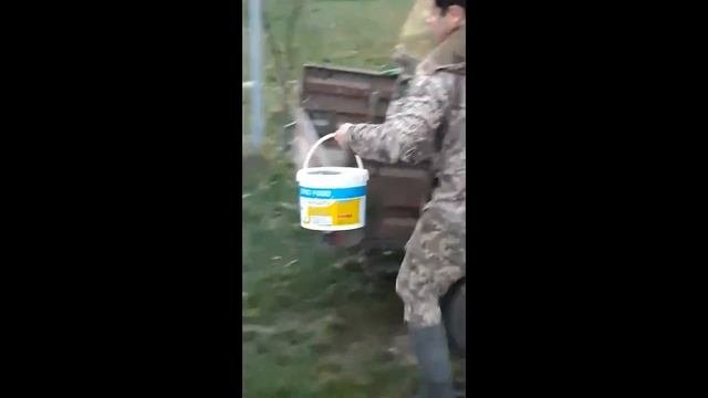 Выпуск рыбы Выселки