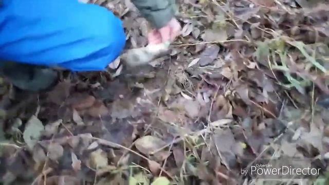 Спиннинг в ноябре. Татарстан. смотреть онлайн