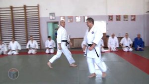 Бросок поворотом запястья противника наружу от захвата за обе руки сзади. Пример базовой техники.