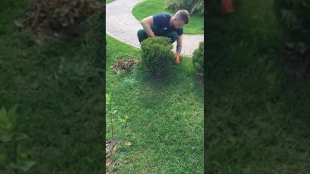 Стрижка газона в труднодоступных местах — Садодел смотреть онлайн