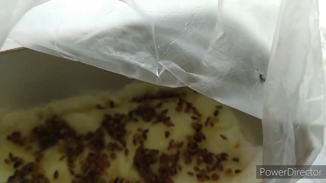 вольер для цыплят в домашних условиях?покупочки? предпраздничные дела! смотреть онлайн