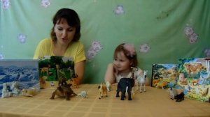 загадки о животных