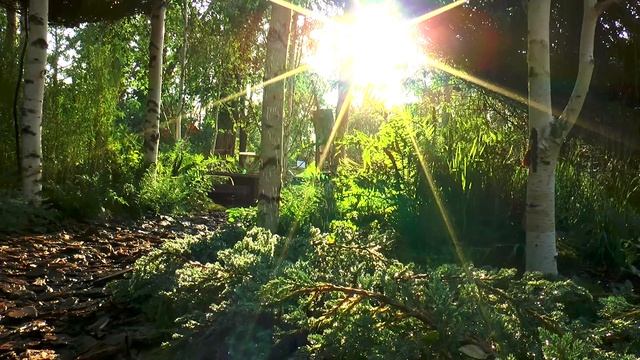 Золото в номинации Малый сад - сад "Память неба" Серебро в номинации Арт объект "Диптих" смотреть онлайн