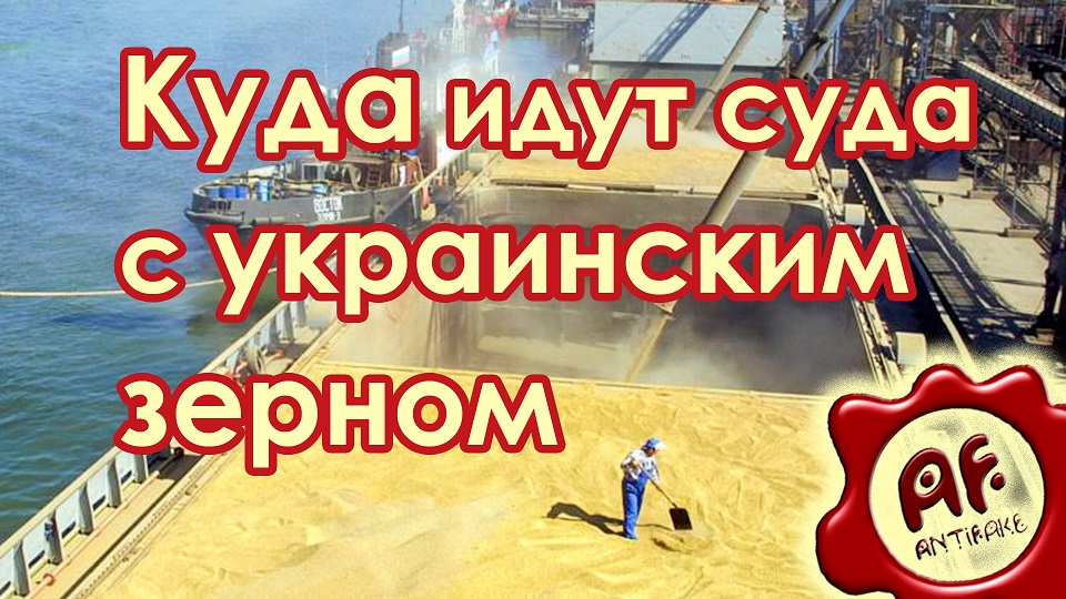 Куда идут суда с украинским зерном