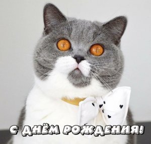 Оригинальное Поздравление ? С Днем Рождения! Поздравить Мужчину!