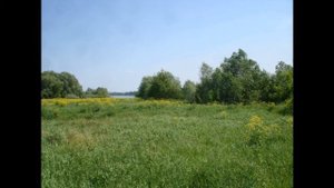 деревня в рязанской области деревня Корякино Рязанская область