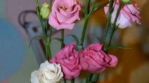 КУКУШКА - Валерий Палаускас