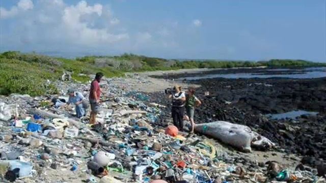 ЗЕМЛЯ наш общий дом смотреть онлайн