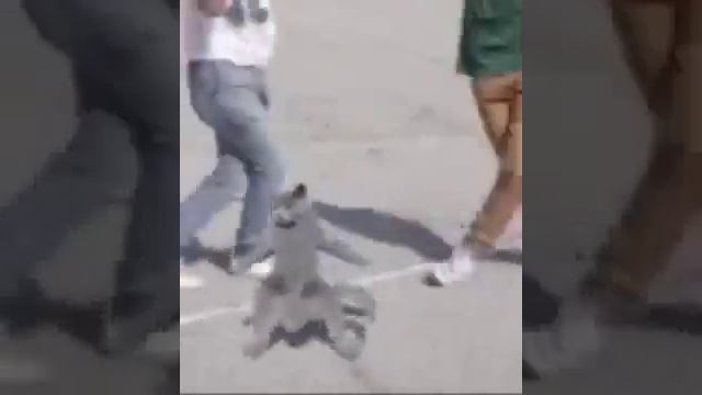 Когда получил в школе за четверть по математике 5 смотреть онлайн