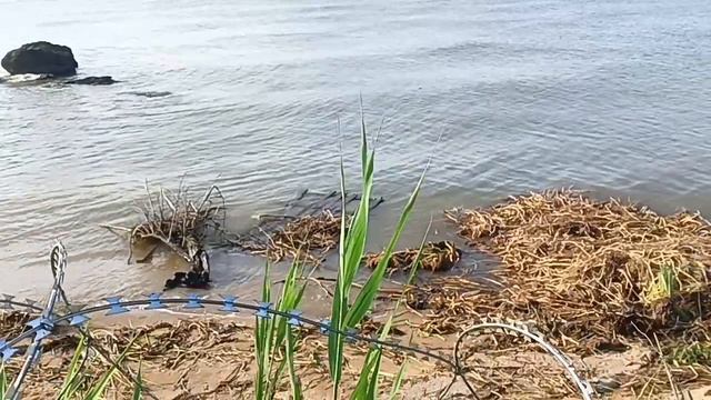 Одесса сегодня 14 июня,пляжи Фонтанки,Крыжановки смотреть онлайн