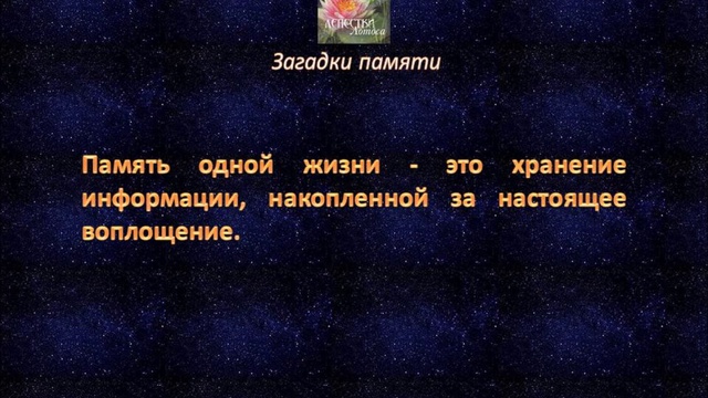 Загадки памяти проект по биологии 8 класс