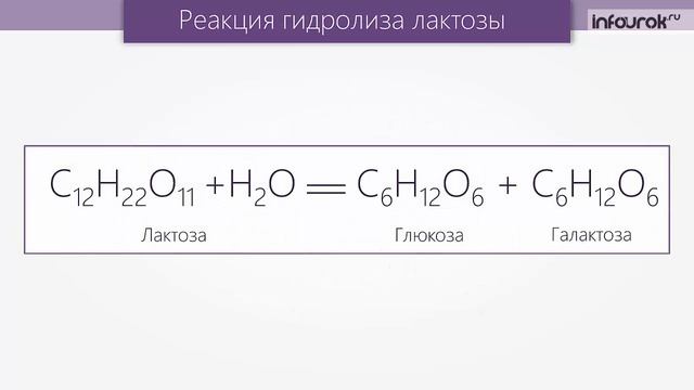Дисахариды | Химия 10 класс #40 | Инфоурок смотреть онлайн