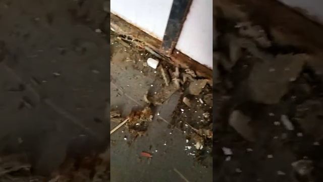 Из промтоварного фургона в рефрежиратор. Утепление Газели Часть 1 смотреть онлайн