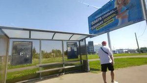 Автобус 244 (Станция метро Московская - Станция метро Кировский завод)
