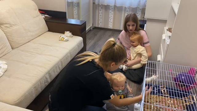 С Реборном в игровом - центре | ЯЖМАТЬ РУГАЕТСЯ И ПАРИТ В КОНТАКТНОМ ЗООПАРКЕ ?♀️ смотреть онлайн