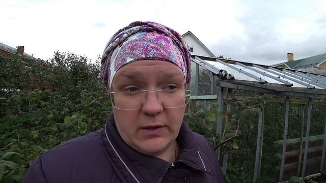 Особенности выращивания ремонтантной малины на Урале смотреть онлайн