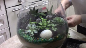 Флорариум. Посадка суккулентов.