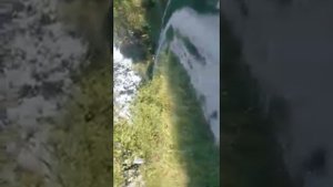 Полив люцерны