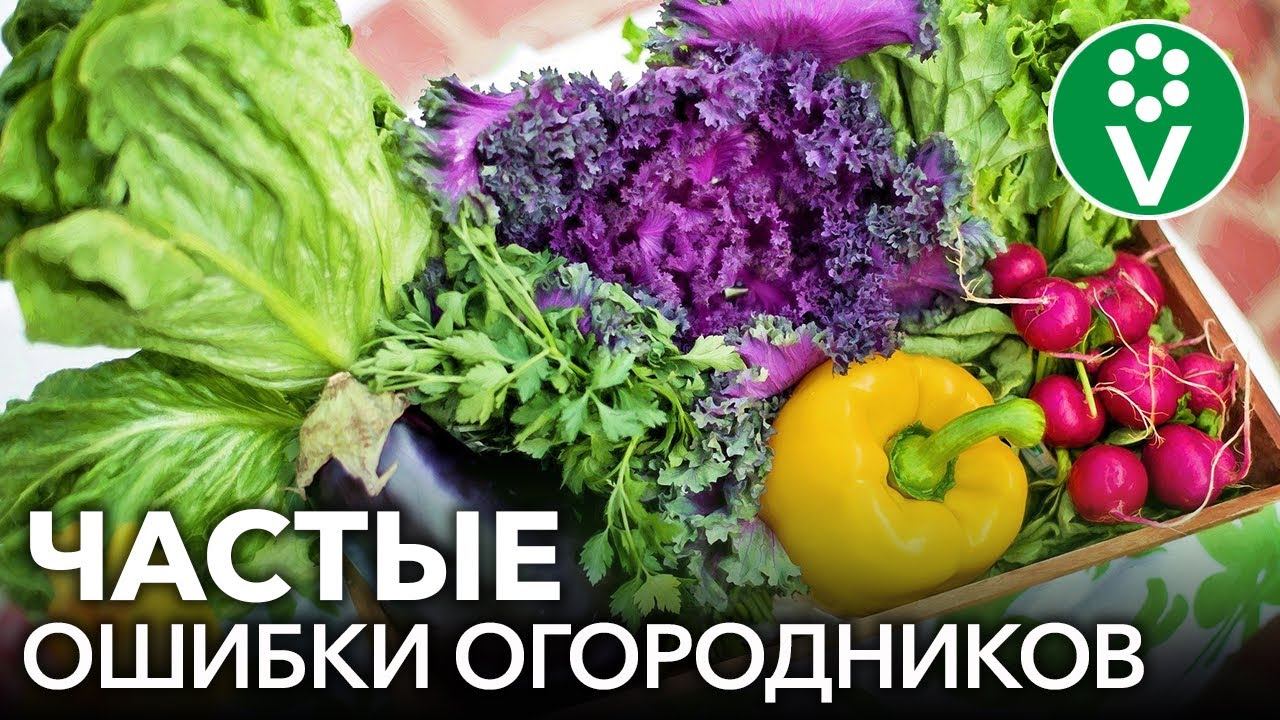 ТОП-10 ОШИБОК ОГОРОДНИКОВ, из-за которых значительно снижается урожайность