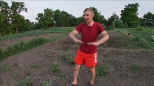 Арбузы не взошли, исправляем ситуацию