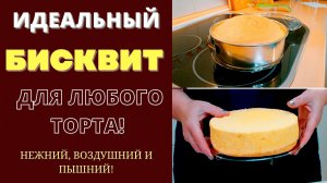 ИДЕАЛЬНЫЙ БИСКВИТ ДЛЯ ЛЮБОГО ТОРТА - ВОЗДУШНЫЙ И ПЫШНИЙ: СЕКРЕТА БОЛЬШЕ НЕТ!