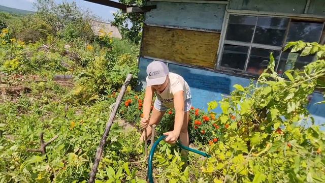 ДАЧА, КОЛОДЕЦ РАБОТАЕТ, ВОДА ЕСТЬ, 14.08.2021 смотреть онлайн