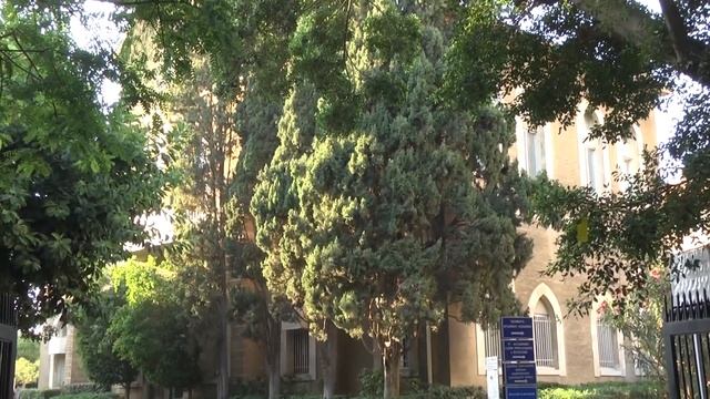 Madrileños por el mundo: Líbano смотреть онлайн