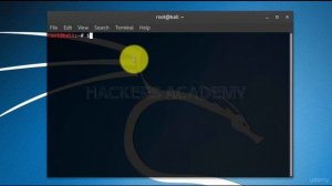 002 Терминал Kali Linux