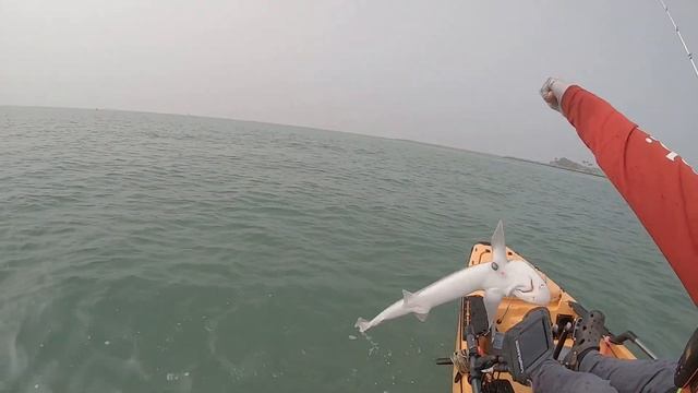 Kayak Fishing Dana Point, Doheny Beach *** Shark & Ray Kind Of Day смотреть онлайн