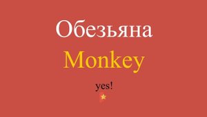 Обезьяна по-английски
